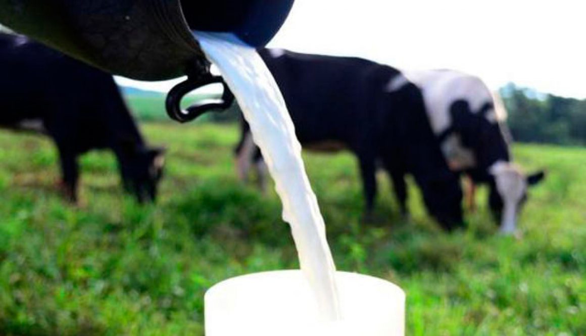 consulta-publica-aprimoracao-qualidade-do-leite