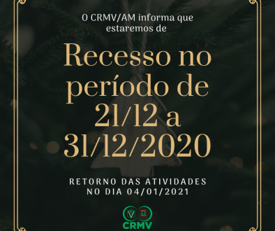 Árvore de Natal através de um orçamento Feliz Natal de vidro fosco (1)