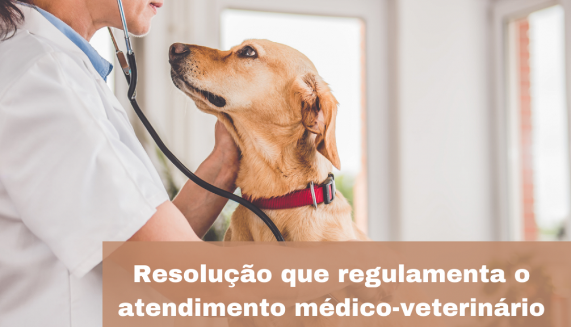 Resolução que regulamenta o atendimento médico-veterinário de cães e gatos em domicílio no AM é publicada