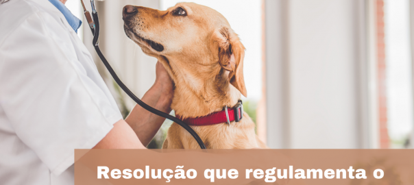 Resolução que regulamenta o atendimento médico-veterinário de cães e gatos em domicílio no AM é publicada