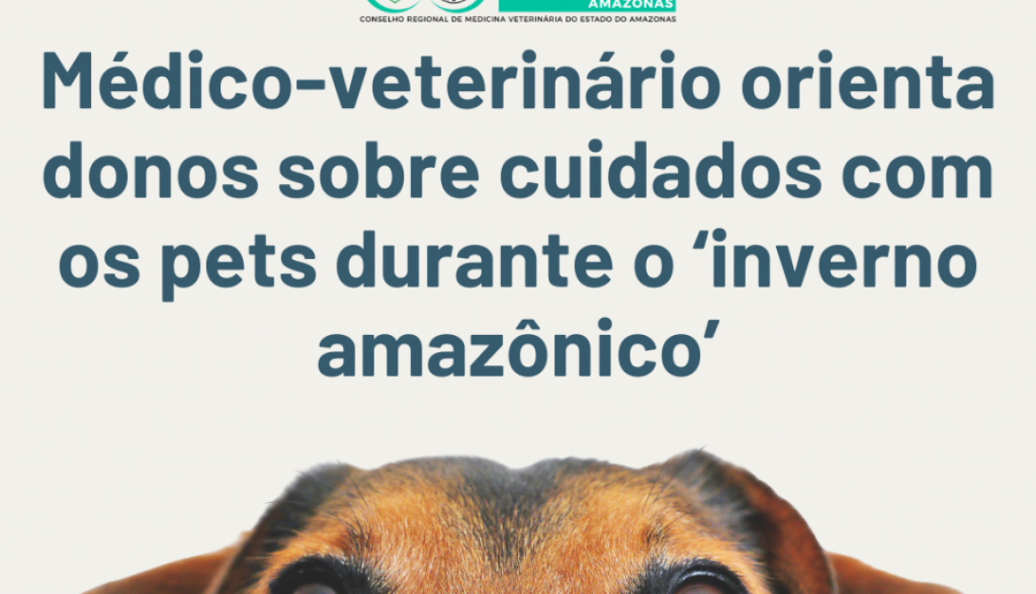 Cuidados com o pet durante o 'inverno amazônico'