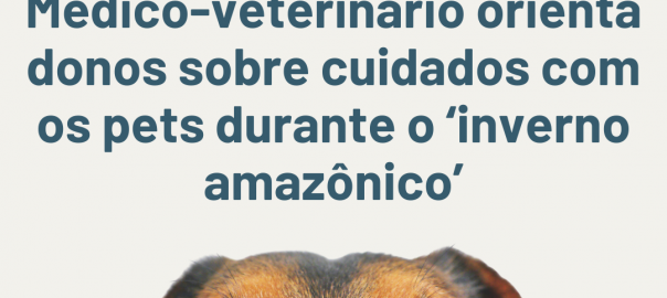 Médico-veterinário orienta donos sobre cuidados com os pets durante o ‘inverno amazônico’