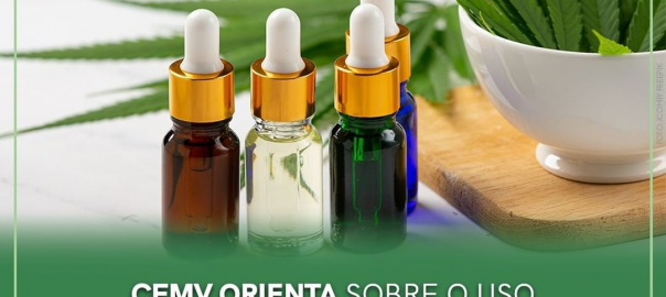 CFMV orienta sobre o uso veterinário de produtos de Cannabis