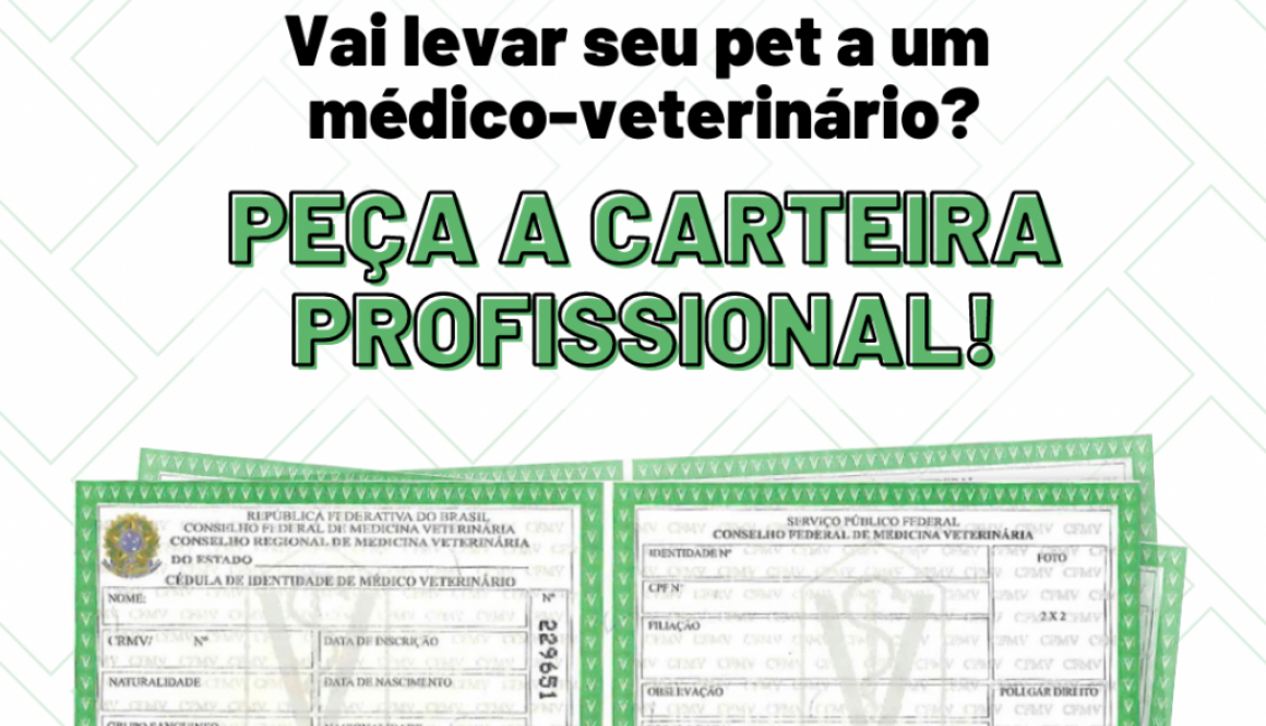 Vai ser atendido por um médico-veterinário