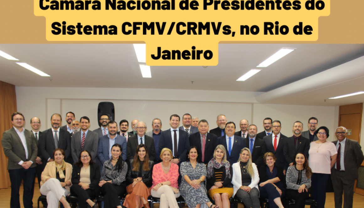 Presidente do AM participa de 2ª Câmara Nacional de Presidentes do Sistema CFMVCRMVs, no Rio de Janeiro