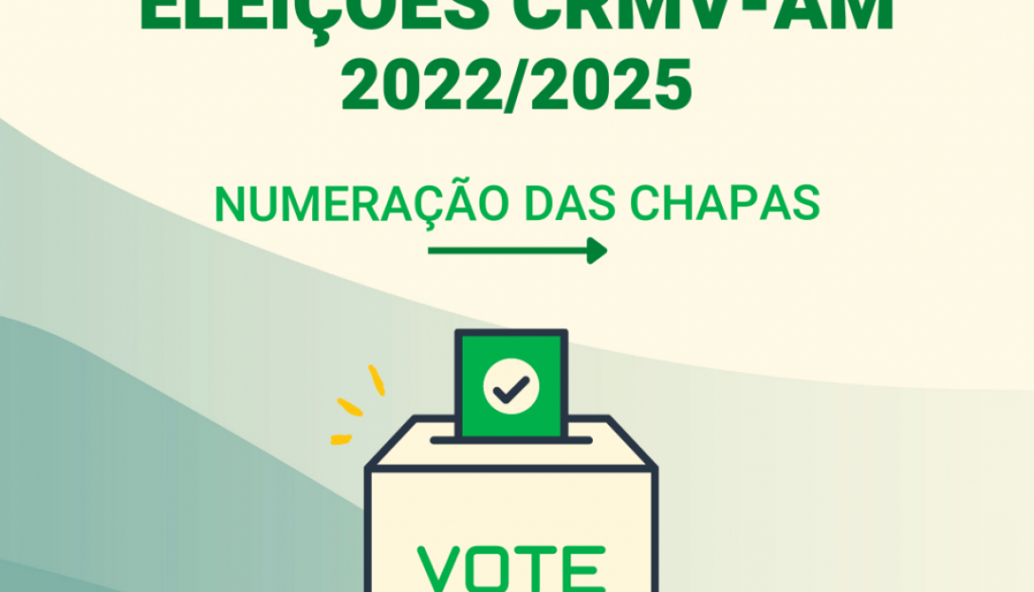 eleição 20222025