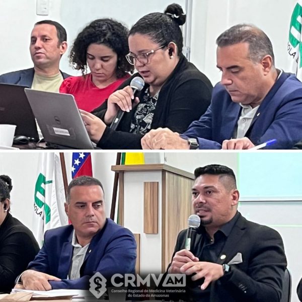 464 PLENÁRIA CRMVAM 6