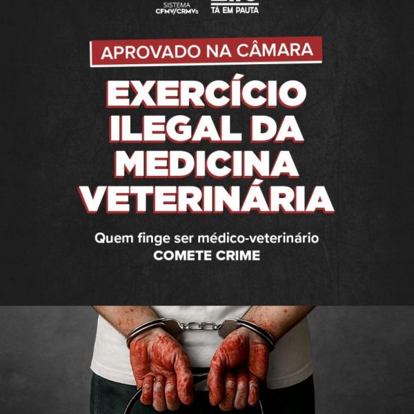 slider_camara