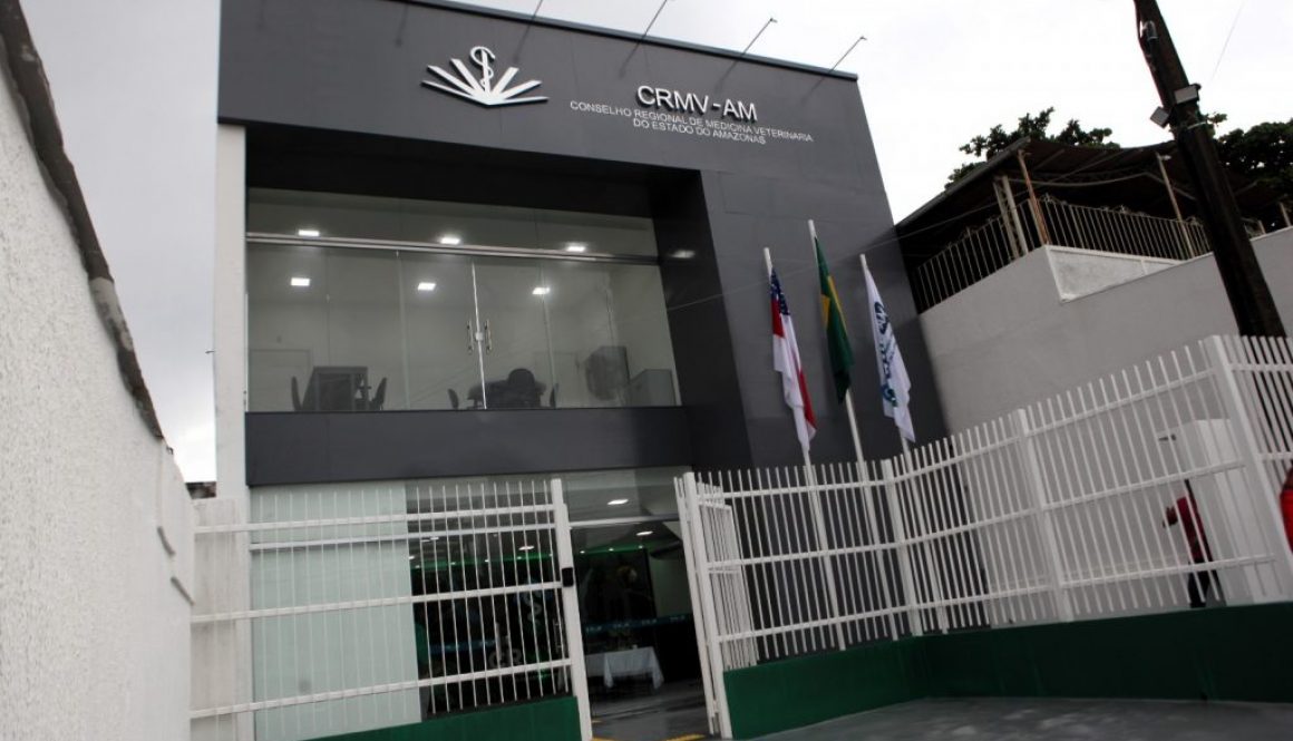 WhatsApp Image 2025-12-04 at 17.34.31