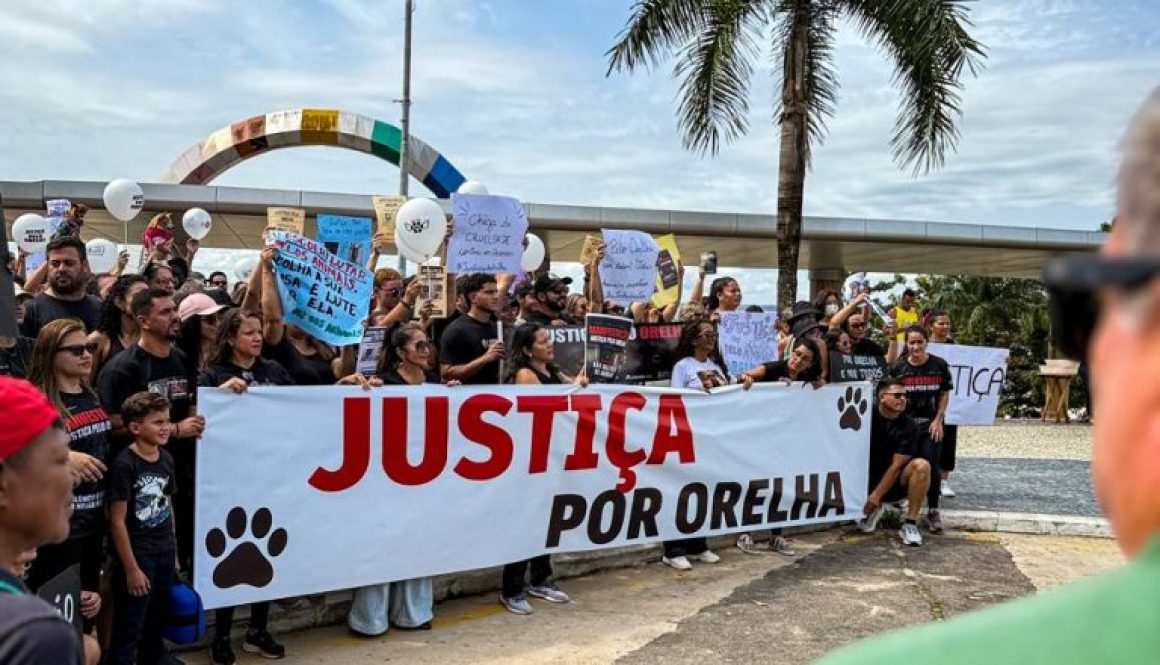 WhatsApp Image 2026-02-03 at 15.27.13 (3)