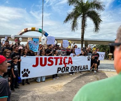 WhatsApp Image 2026-02-03 at 15.27.13 (3)