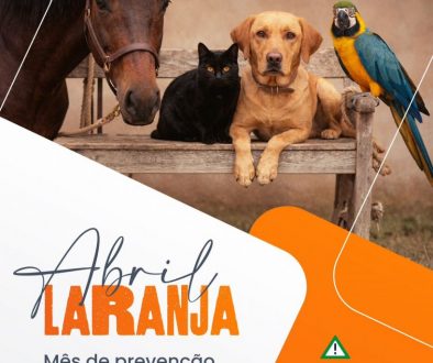 WhatsApp Image 2026-04-01 at 15.05.30