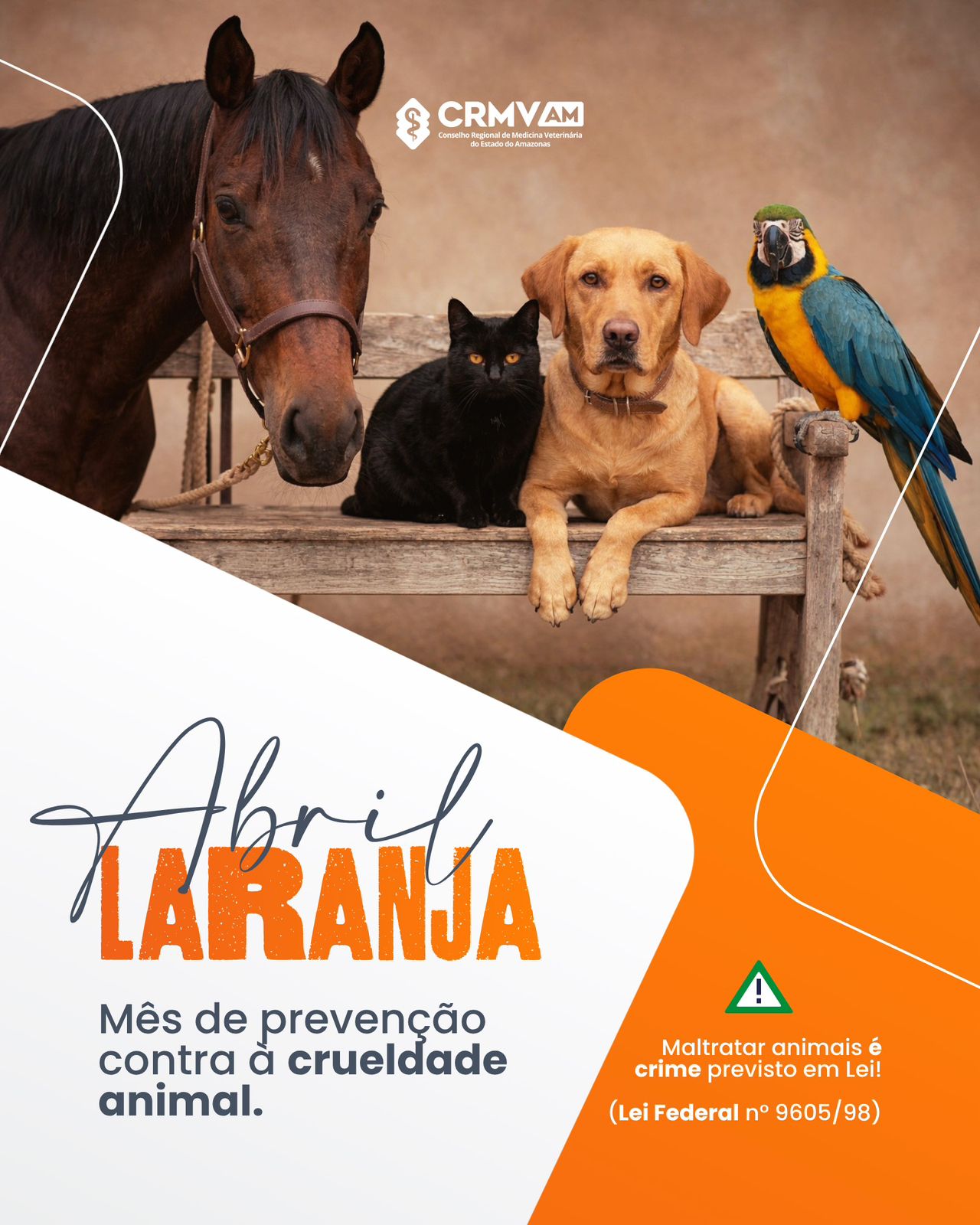 WhatsApp Image 2026-04-01 at 15.05.30